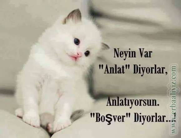 Neyin_Var_Anlat.jpg