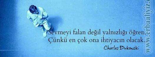 Sevmeyi_Falan_Degil_Yalnizligi_Ogren.jpg