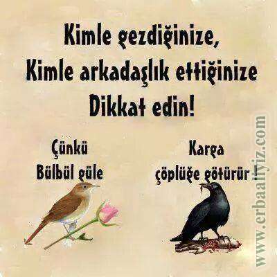 Kimle_Gezdiginize_Kimle_Arkadaslik_Ettiginize_Dikkat_Edin.jpg