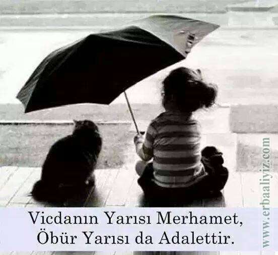 Vicdanin_Yarisi_Merhamet.jpg