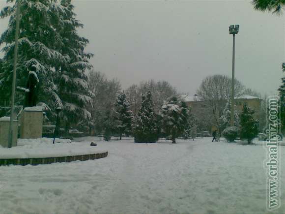 31012012(006).jpg