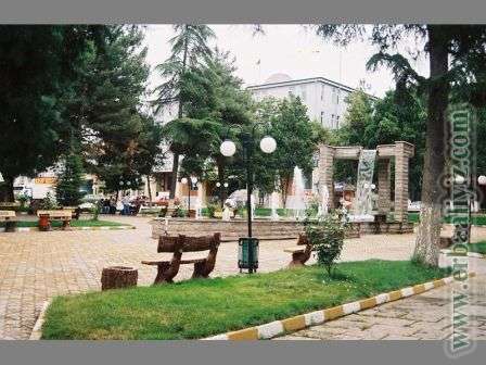 sehir-yasam (1).jpg
