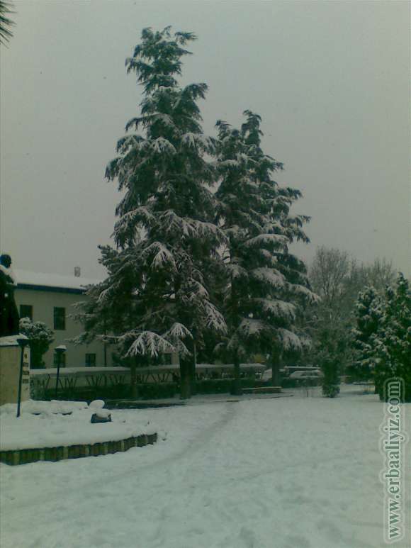 31012012(007).jpg