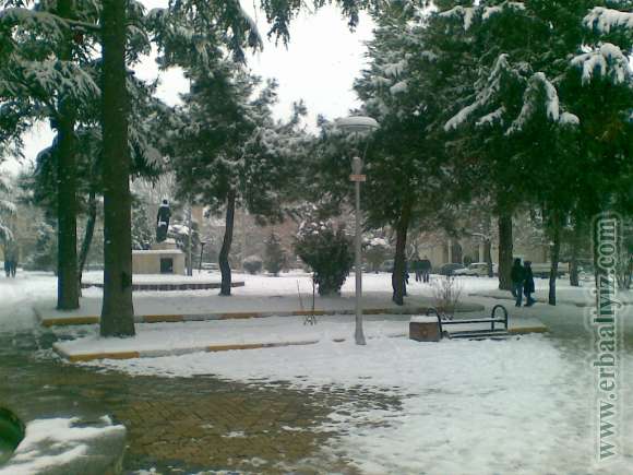 31012012(005).jpg