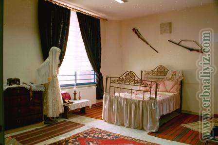 kultur_evi03.jpg