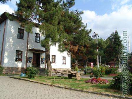 kultur_evi01.jpg