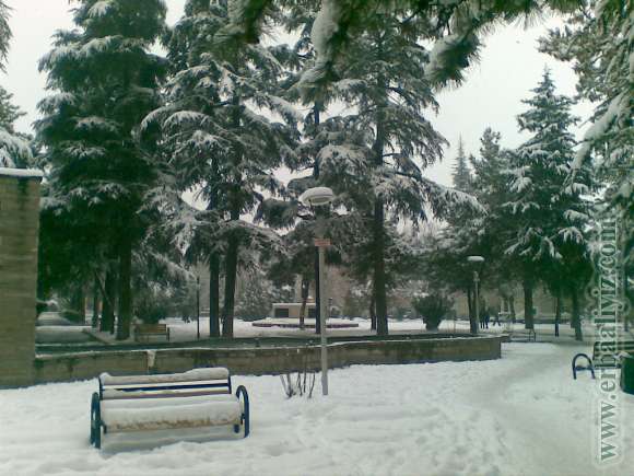 31012012(002).jpg