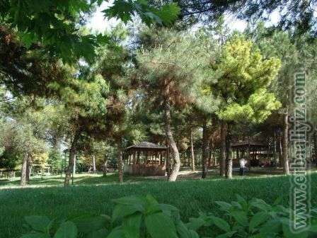 Erbaa Çamlık Mesire Alanı