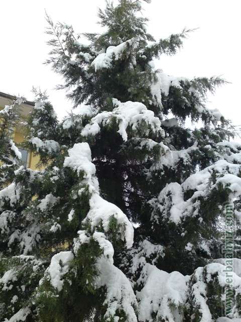 Erbaa&amp;#039;da Kar 8-9-10 Ocak 2013