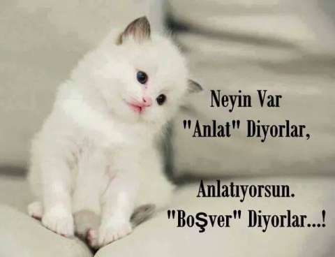 Neyin_Var_Anlat.jpg