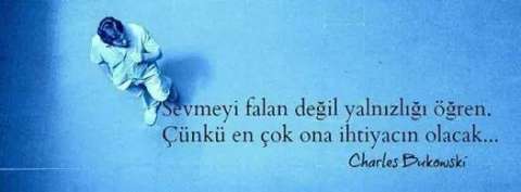Sevmeyi_Falan_Degil_Yalnizligi_Ogren.jpg