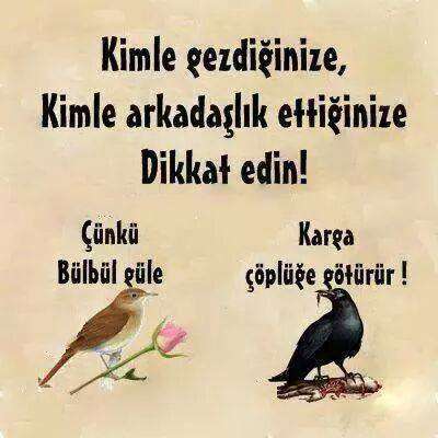 Kimle_Gezdiginize_Kimle_Arkadaslik_Ettiginize_Dikkat_Edin.jpg