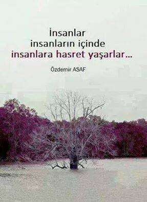 Insanlar_Insanlarin_Icinde_Insanlara_Hasret_Yasarlar.jpg