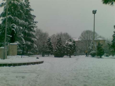 31012012(006).jpg