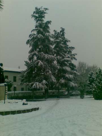31012012(007).jpg