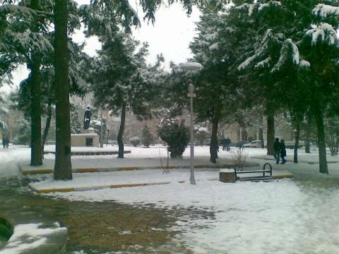 31012012(005).jpg
