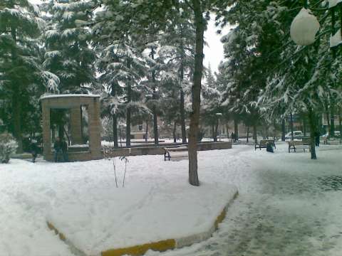 31012012(001).jpg