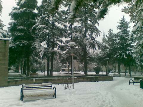 31012012(002).jpg