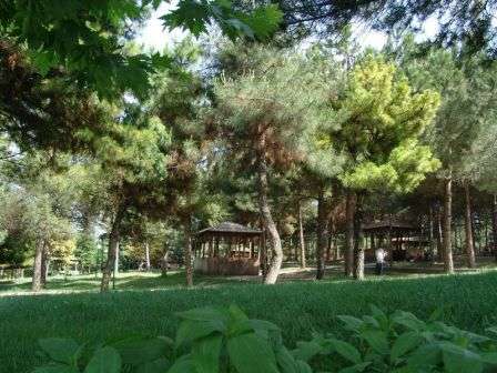 Erbaa Çamlık Mesire Alanı