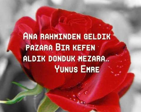 Ana rahminden geldik