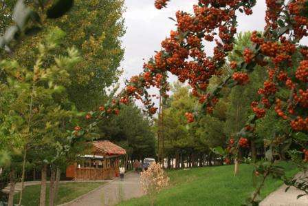 Erbaa Çamlık Mesire Alanı