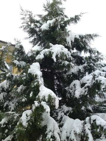 Erbaa&#039;da Kar 8-9-10 Ocak 2013