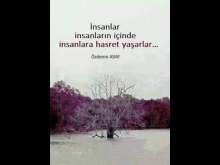 Insanlar_Insanlarin_Icinde_Insanlara_Hasret_Yasarlar.jpg
