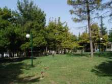 Erbaa Çamlık Mesire Alanı