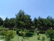 Erbaa Çamlık Mesire Alanı