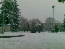 31012012(006).jpg
