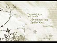 Yunus Öldü Deyu