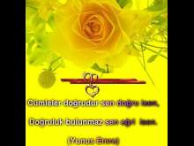 Cümleler doğrudur sen doğru isen