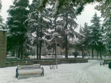 31012012(002).jpg