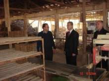 Tuğla Fabrikaları