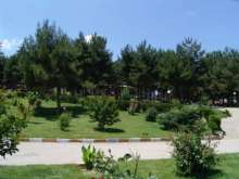 sehir-yasam (20).jpg