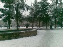 31012012(004).jpg