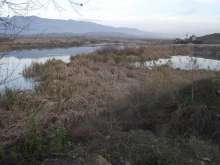 Erbaa Park Vadi Resimleri - Etap 1