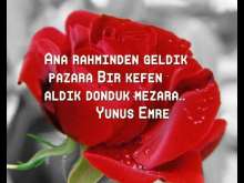 Ana rahminden geldik