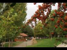 Erbaa Çamlık Mesire Alanı