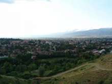 DSC09175.jpg