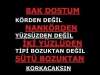Korden_Degil_Nankorden.jpg