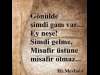 Gönülde şimdi gam var...