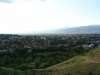 DSC08438.jpg